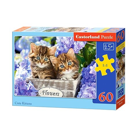 Castorland dėlionė CUTE KITTENS 60 det – pagrindinis vaizdas