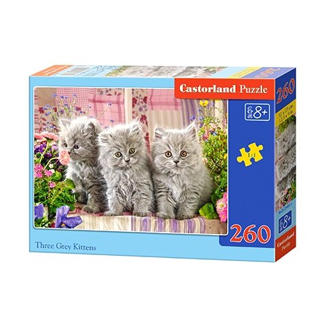 Castorland dėlionė THREE GREY KITTENS 260 det – pagrindinis vaizdas