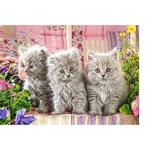 Castorland dėlionė THREE GREY KITTENS 260 det – vaizdas 2