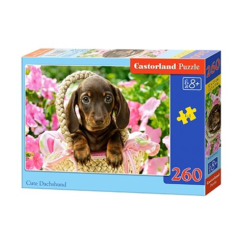 Castorland dėlionė CUTE DACHSHUND 260 det – pagrindinis vaizdas