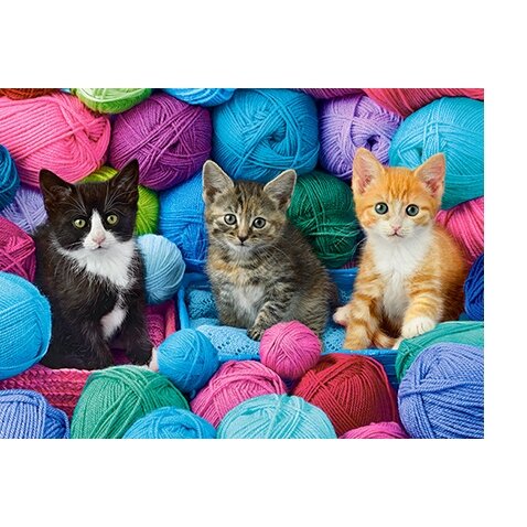 Castorland dėlionė KITTENS IN YARN STORE 300 det – vaizdas 2