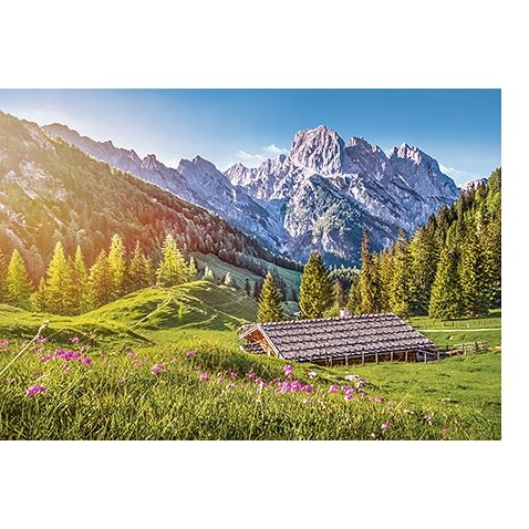 Castorland dėlionė Summer in the Alps 500 det – vaizdas 2