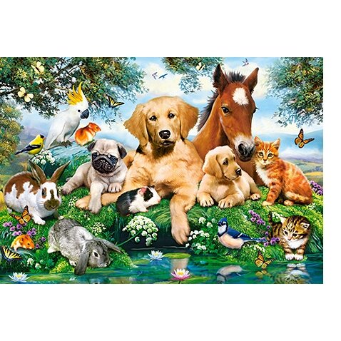 Castorland dėlionė Summer Pals 500 det – vaizdas 2