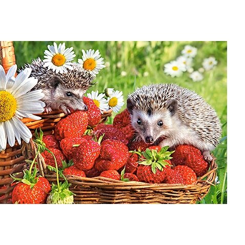 Castorland dėlionė STRAWBERRY DESSERT 260 det – vaizdas 2