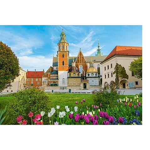Castorland dėlionė WAWEL CASTLE IN KRAKOW, POLAND 500 det – vaizdas 2