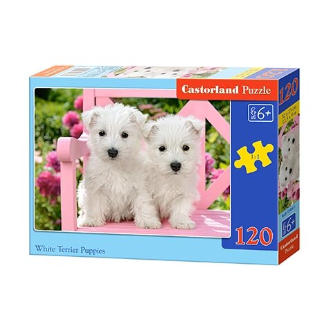 Castorland dėlionė WHITE TERRIER PUPPIES 120 det – pagrindinis vaizdas