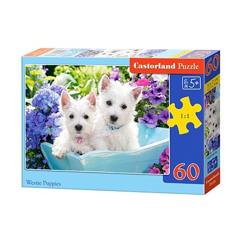 Castorland dėlionės Westie Puppies 60 det – pagrindinis vaizdas