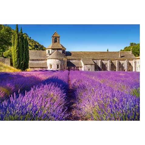 Castorland dėlionė LAVENDER FIELD IN PROVENCE, FRANCE 1000 det – vaizdas 2
