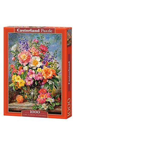 Castorland dėlionė June Flowers in Radiance 1000 det – pagrindinis vaizdas