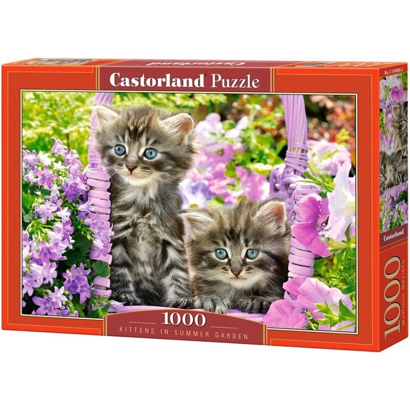 Castorland dėlionė Kittens in Summer Garden 1000 det – pagrindinis vaizdas