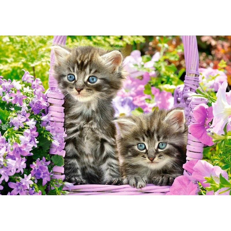 Castorland dėlionė Kittens in Summer Garden 1000 det – vaizdas 2