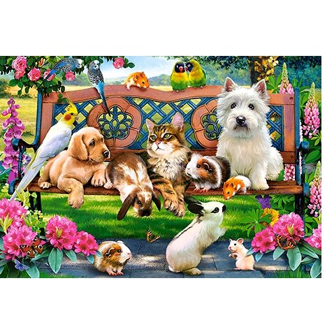 Castorland dėlionė PETS IN THE PARK 1000 det – vaizdas 2