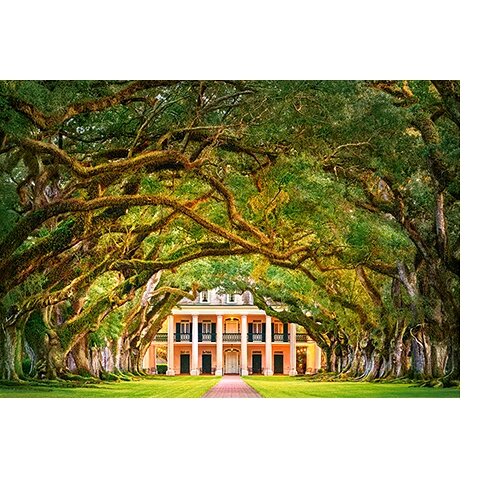 Castorland dėlionė OAK ALLEY PLANTATION 1000 det – vaizdas 2