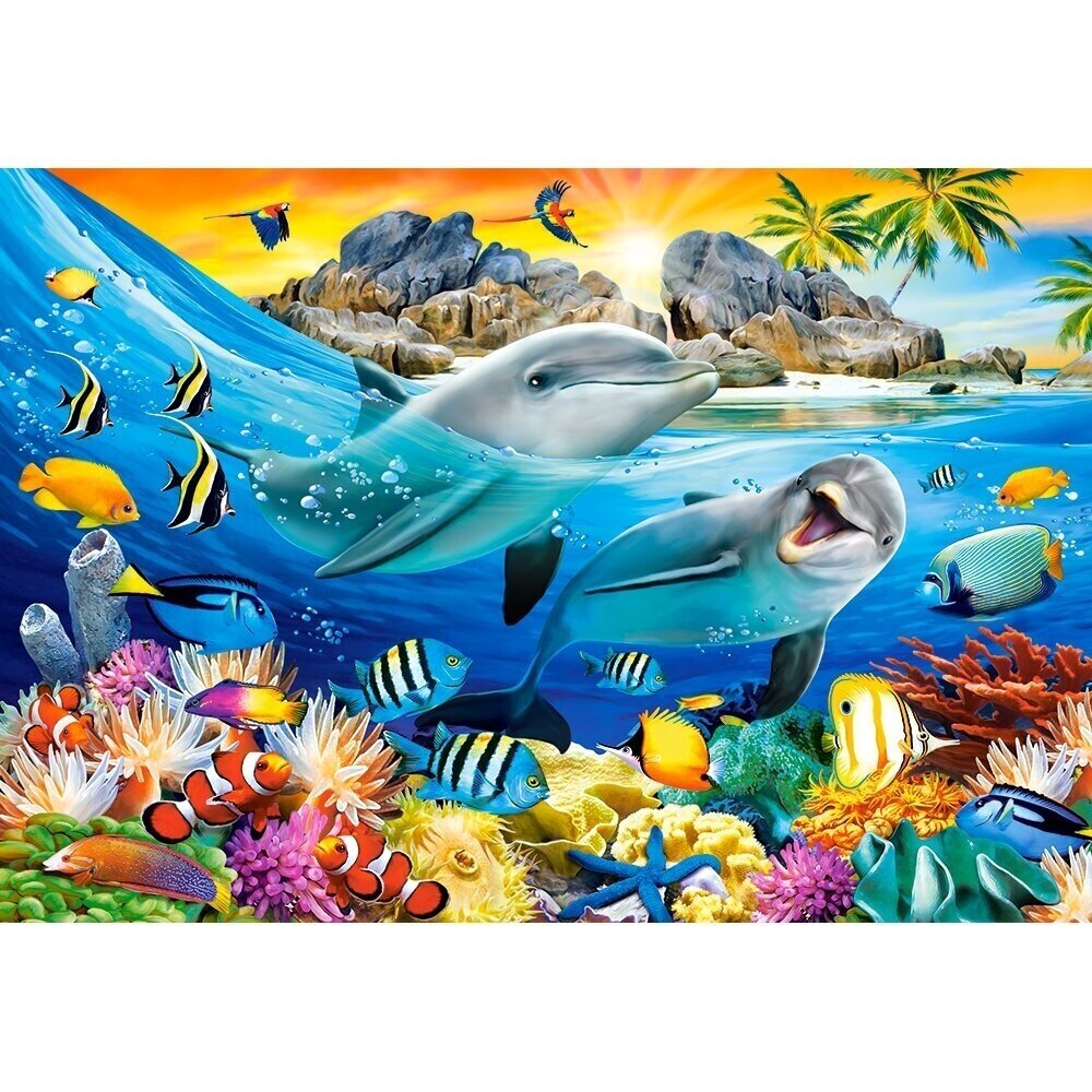 Castorland dėlionė DOLPHINS IN THE TROPICS 1000 det – vaizdas 2