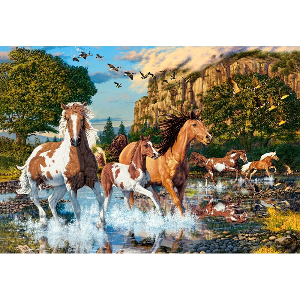 Castorland dėlionė HORSE WONDERLAND 1000 det – vaizdas 2