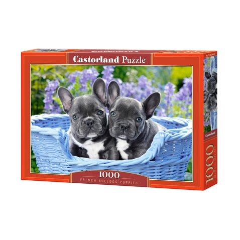 Castorland dėlionė French Bulldog Puppies 1000 det – pagrindinis vaizdas