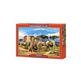 Castorland dėlionė KILIMANJARO MORNING 1000 det – pagrindinis vaizdas