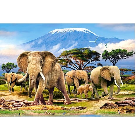 Castorland dėlionė KILIMANJARO MORNING 1000 det – vaizdas 2