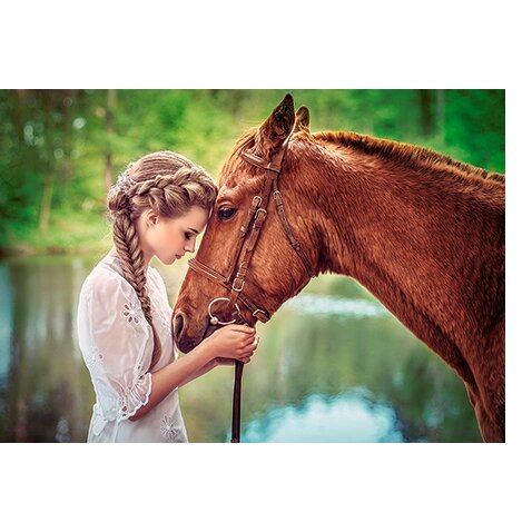 Castorland dėlionė Great Friendship 500 det – vaizdas 2