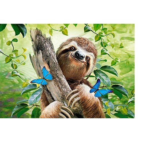 Castorland dėlionė Don't Hurry Be Happy 500 det – vaizdas 2