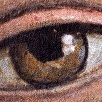 Cherry Pazzi dėlionė Face of Venus by Sandro Botticelli 1000 det.