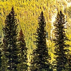 Cherry Pazzi dėlionė Lake Vermilion, Banff National Park, Canada 1000 det – vaizdas 5