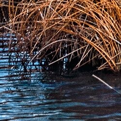 Cherry Pazzi dėlionė Lake Vermilion, Banff National Park, Canada 1000 det – vaizdas 4