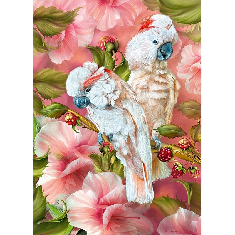 Cherry Pazzi dėlionė Tropic Spirits - Cockatoo 1000 det – vaizdas 3