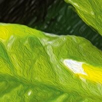 Cherry Pazzi dėllionė Chameleon 1000 det – vaizdas 6