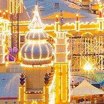 Cherry Pazzi dėllionė Sydney Skyline 1000 det – vaizdas 7