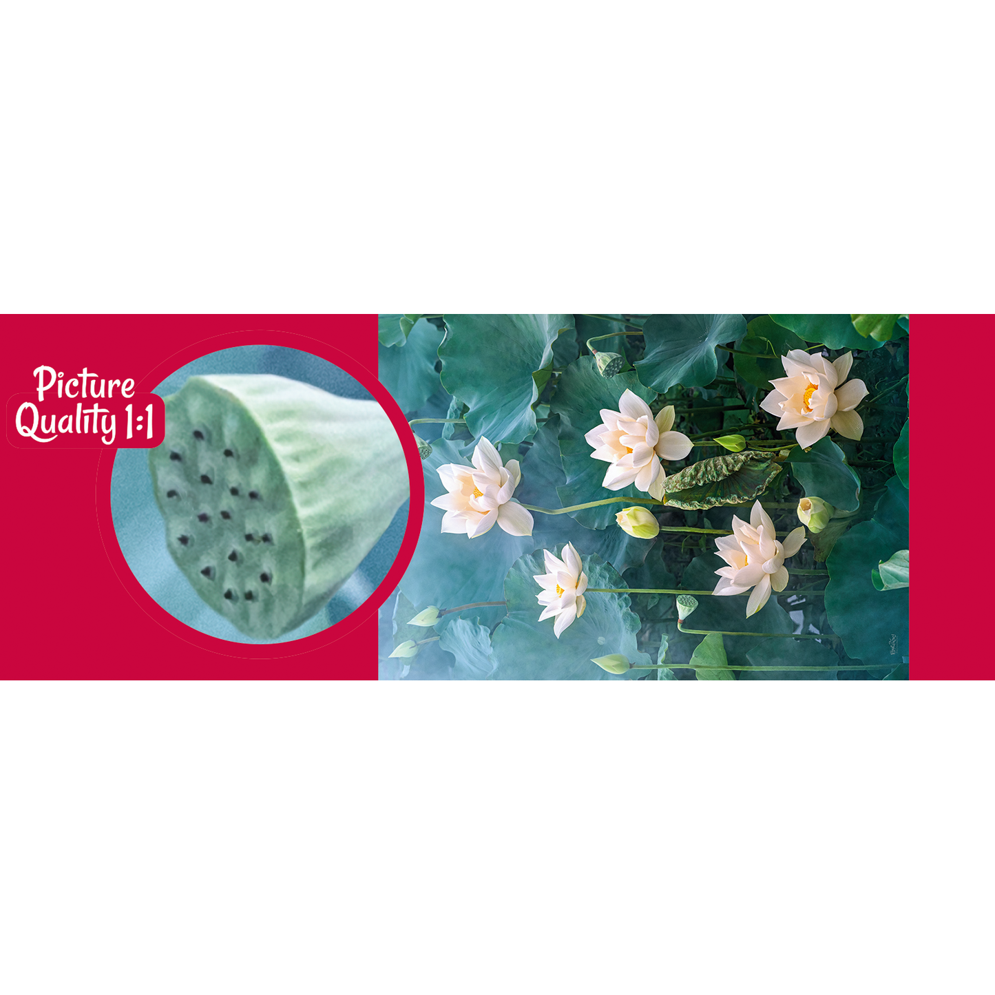 Cherry Pazzi dėlionė White Lotus 1000 det – vaizdas 3