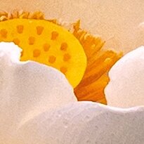 Cherry Pazzi dėlionė White Lotus 1000 det – vaizdas 7