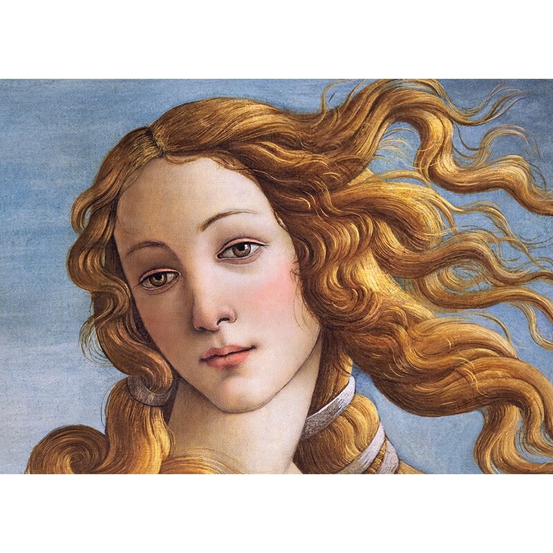 Cherry Pazzi dėlionė Face of Venus by Sandro Botticelli 1000 det.
