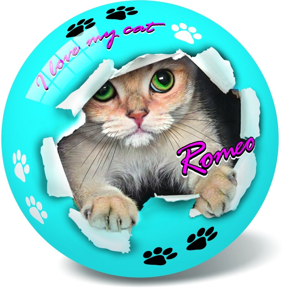 Kamuolys Romeo - Roxy 23 cm - pagrindinis vaizdas