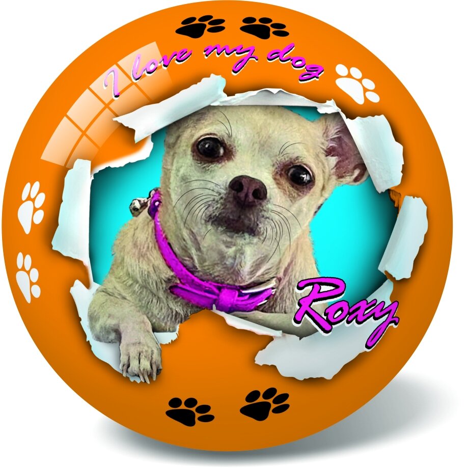 Kamuolys Romeo - Roxy 23 cm - vaizdas 2