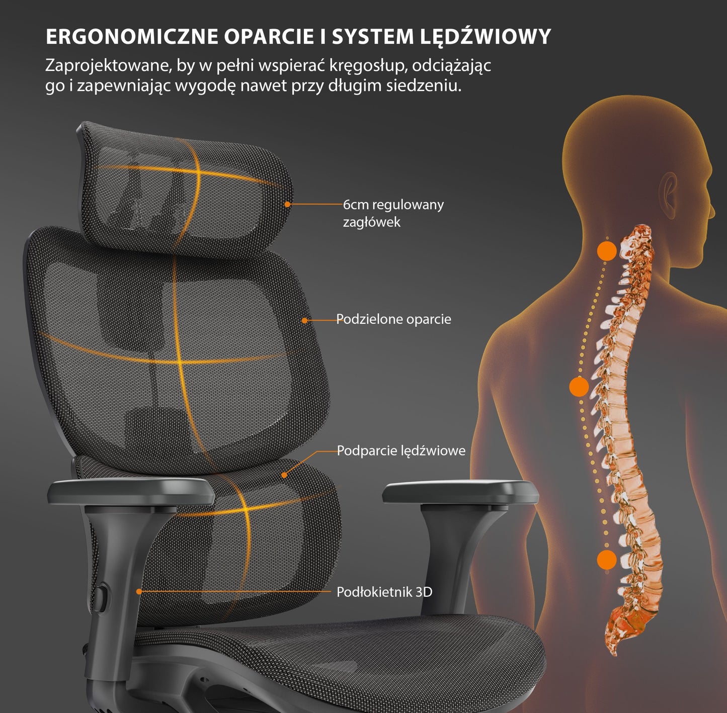 Ergonominė biuro kėdė mokiniui Nobu – nuotrauka 32