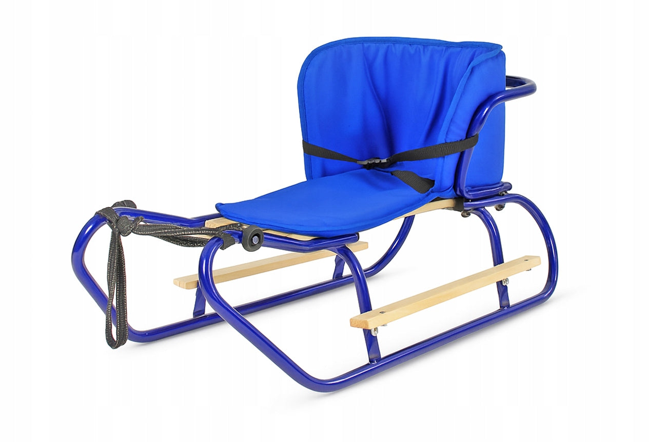 Metalinių Rogučių Komplektas su Nugara, Čiužiniu, Kojų Atramomis ir Diržu – Mėlyna Spalva – vaizdas 2