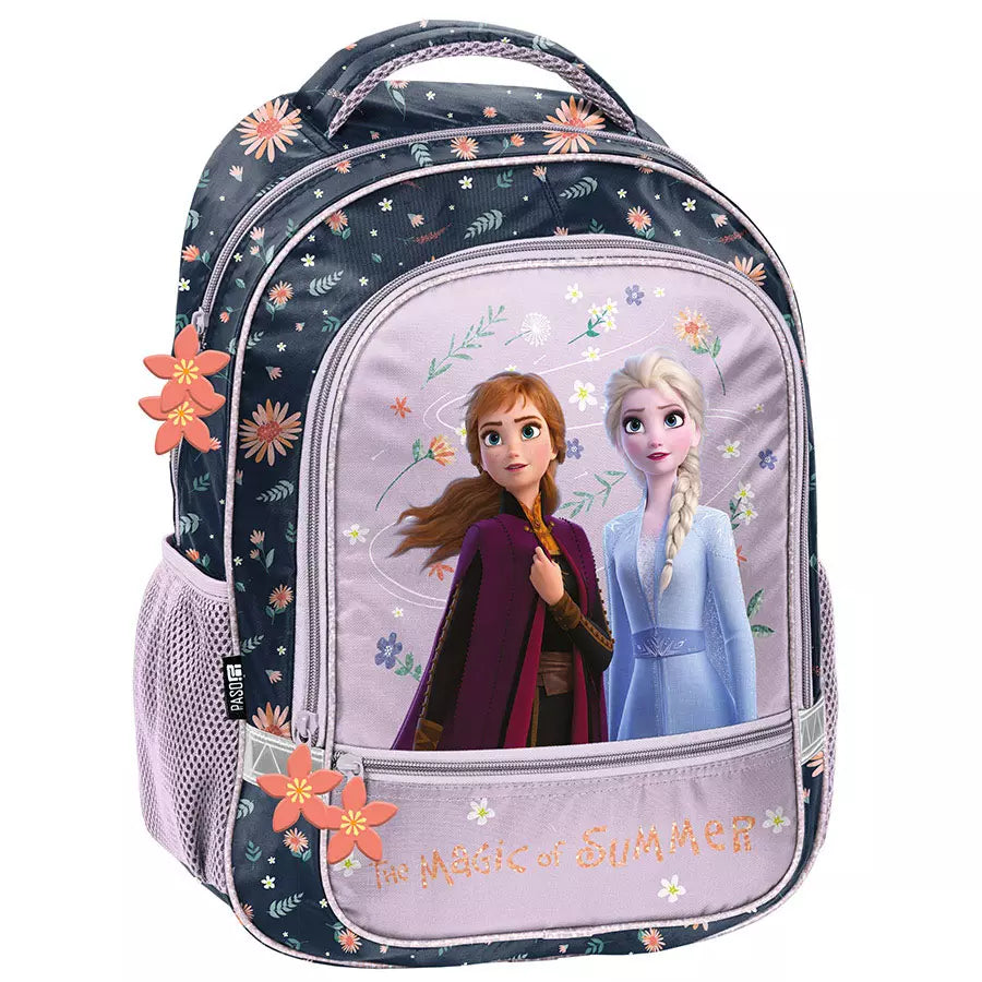 Mokyklinė kuprinė Disney Frozen rožinė – Paso