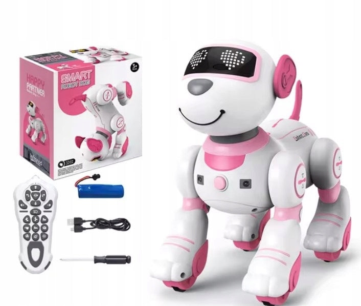 Interaktyvus nuotoliniu būdu valdomas šuo robotas, atliekantis triukus – pagrindinis vaizdas