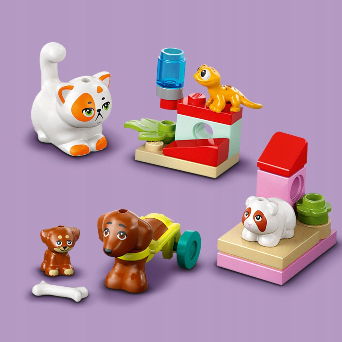 LEGO Friends 42668 Advento kalendorius 2025 – vaizdas 7