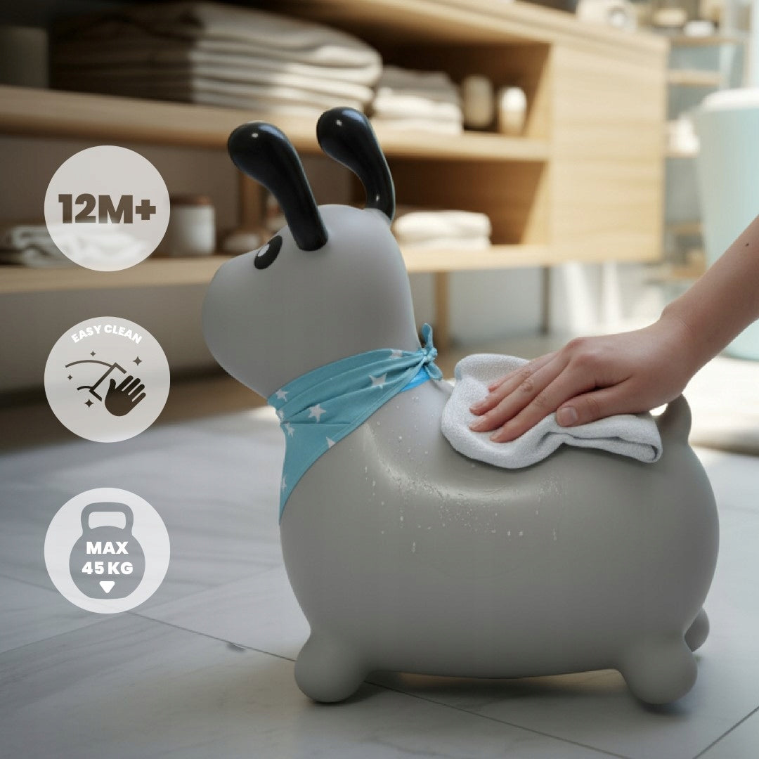 Guminis šokliukas vaikams nuo metų, Sun Baby – vaizdas 4