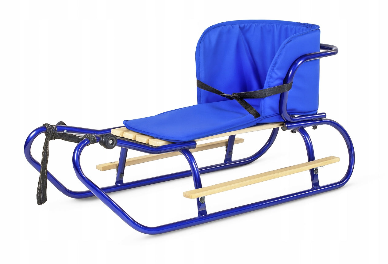 Metalinių Rogučių Komplektas su Nugara, Čiužiniu, Kojų Atramomis ir Diržu – Mėlyna Spalva – vaizdas 3