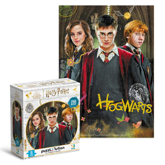 Dodo dėlionė Harry Potter Hogwarts (250 det) – pagrindinis vaizdas