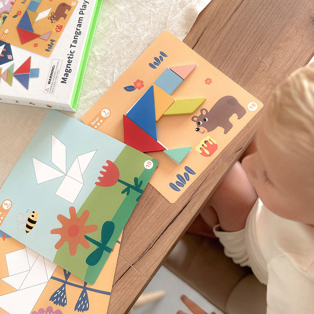 TOOKY TOY Tangram dėlionė – formos ir gyvūnai, 18 dalių