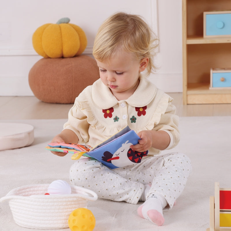 TOOKY TOY Box XXL Montessori edukacinė 6in1 sensorinė dėžutė 5–6 mėn.