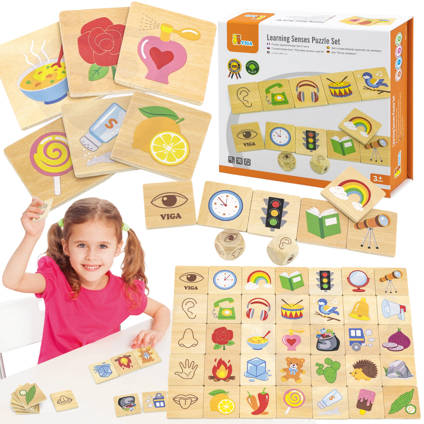 VIGA Medinė Dėlionė Jusių Rūšiuoklis 37 dalys Montessori