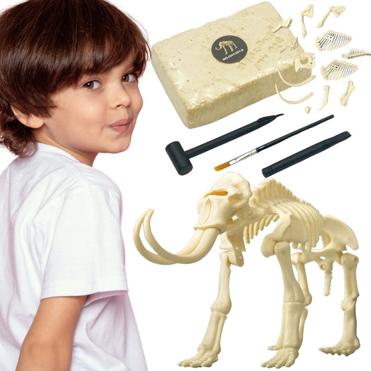 WOOPIE Kūrybinis rinkinys: Dinozauro skeletas, archeologiniai kasinėjimai – pagrindinis vaizdas