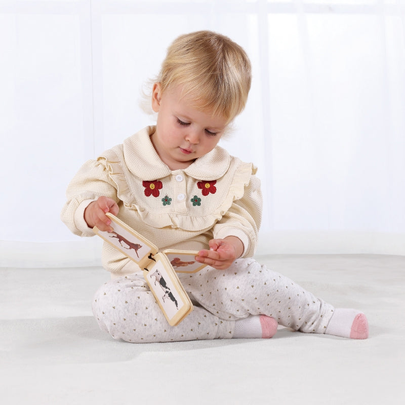 TOOKY TOY Box XXL Montessori edukacinė 6in1 sensorinė dėžutė 7–8 mėn.