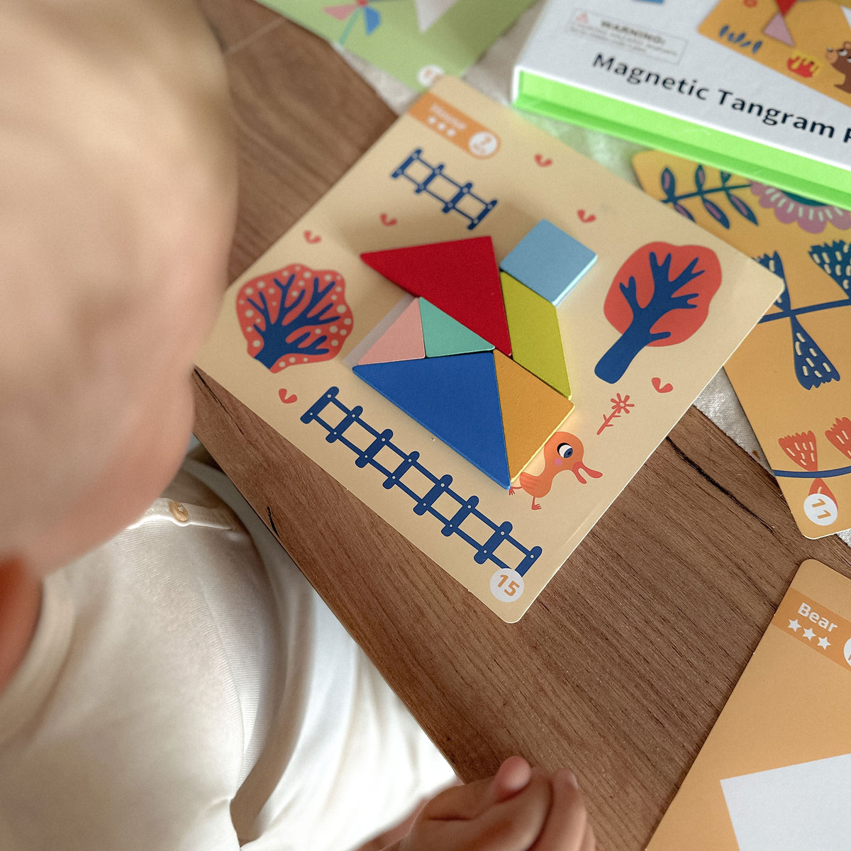 TOOKY TOY Tangram dėlionė – formos ir gyvūnai, 18 dalių