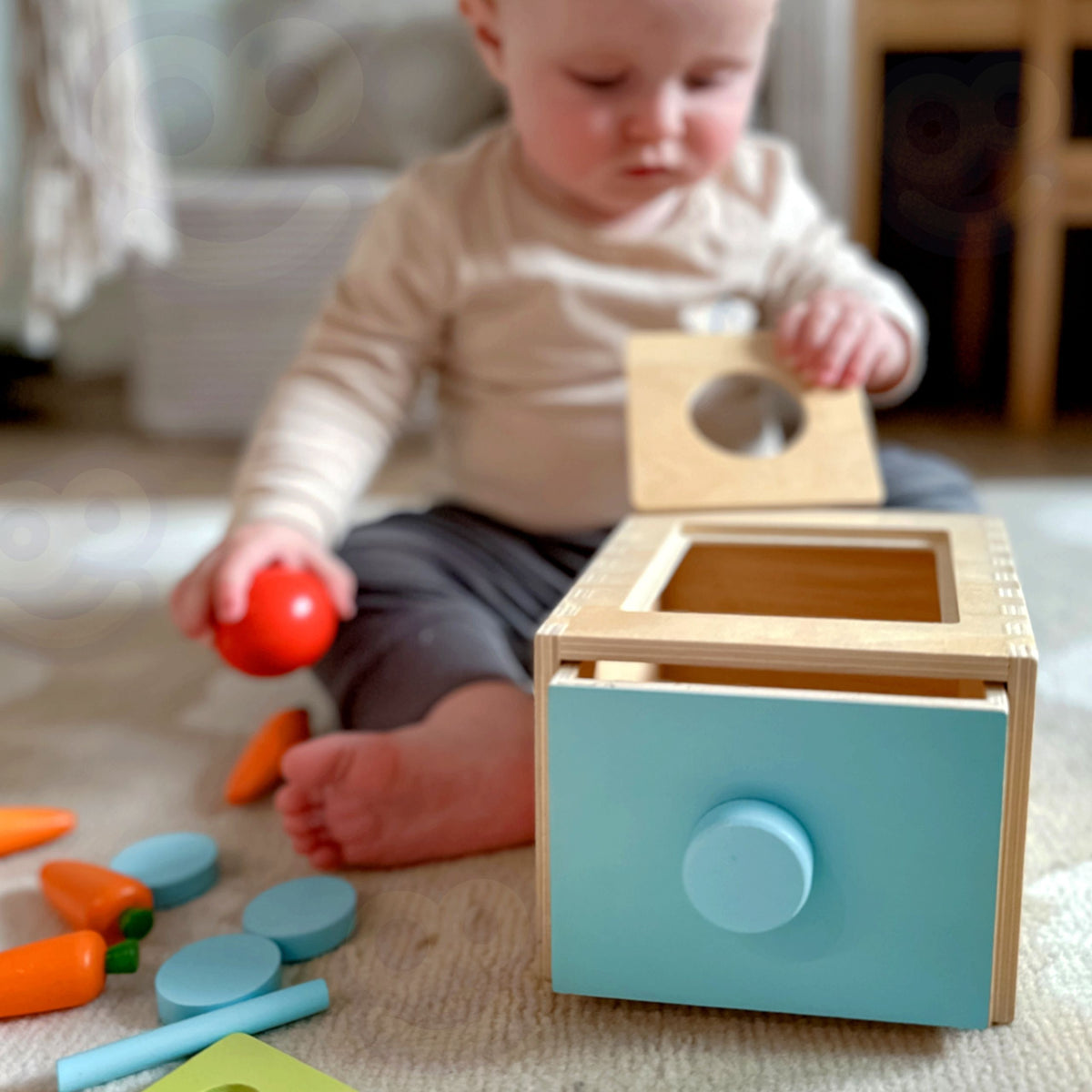WOOPIE Medinė lavinamoji dėžutė 4in1 Montessori rūšiuoklis su morkytėmis